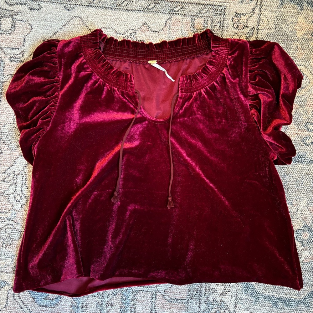 NWOT Free People Terese Velvet Top
